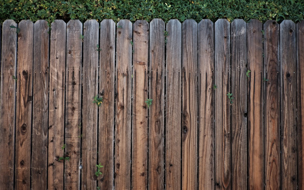 turf pro landscaping services