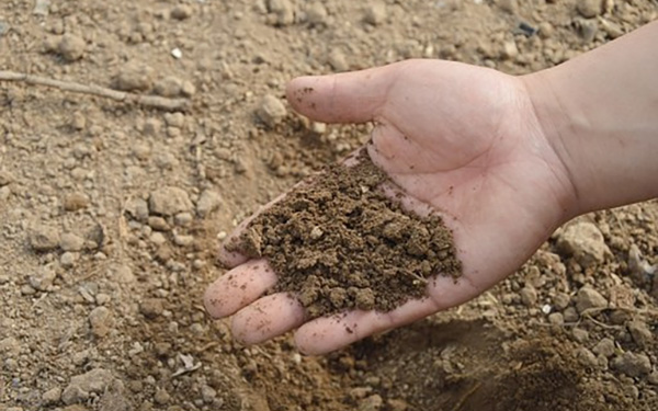 turf pro landscaping services